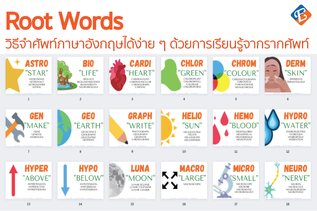 วิธีจำศัพท์ภาษาอังกฤษได้ง่าย ๆ ด้วยการเรียนรู้จากรากศัพท์