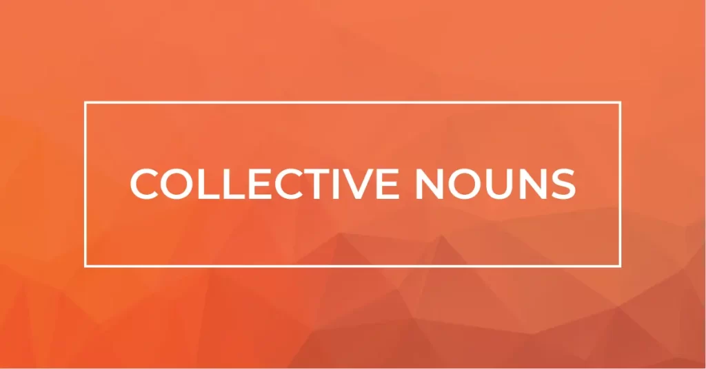 ภาพพื้นหลังสีส้มพร้อมข้อความ COLLECTIVE NOUNS ใช้สื่อสารหัวข้อเกี่ยวกับคำนามหมู่ในภาษาอังกฤษ"