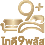 Logo Tidy 9 Plus